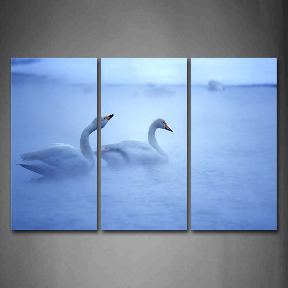 Two Swans Swimming On Water Fuzzy Wall Art Painting The Picture Print On Canvas Animal Pictures For Home Decor Decoration Gift 