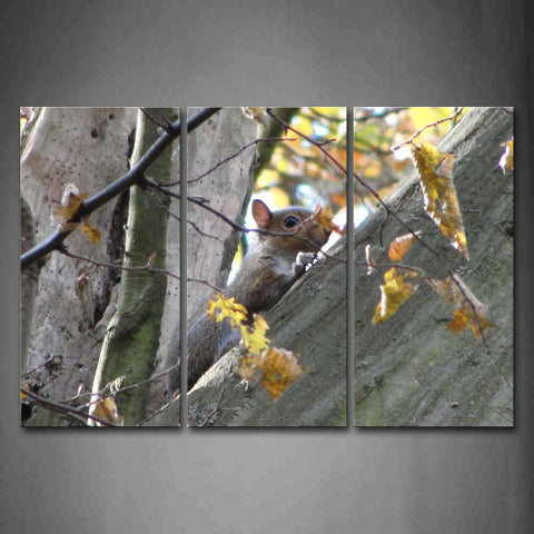 Squirrel Climb On Tree Autumn Wall Art Painting Pictures Print On Canvas Animal The Picture For Home Modern Decoration 