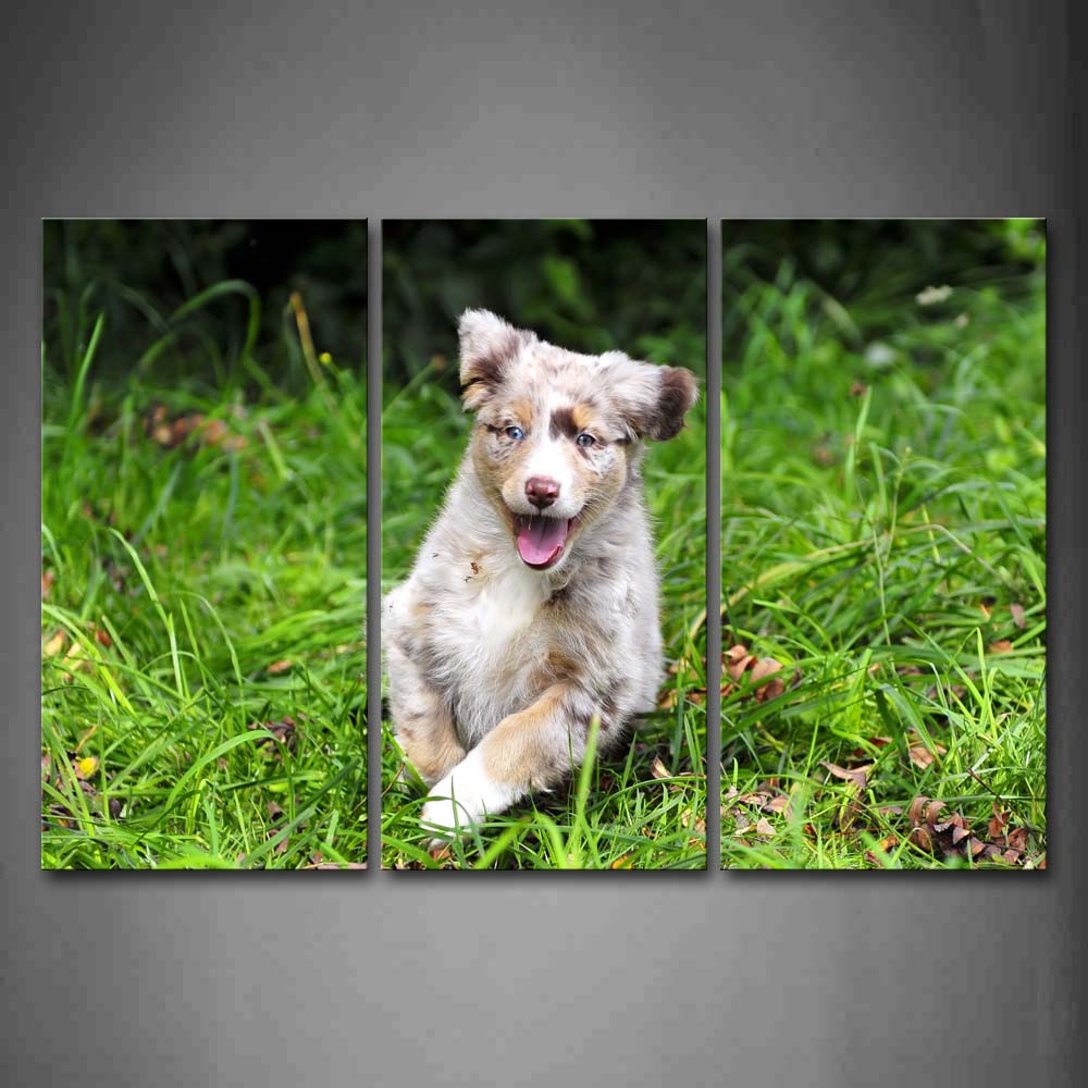 Puppy Sit On Grass And Open Mouth Wall Art Painting The Picture Print On Canvas Animal Pictures For Home Decor Decoration Gift 