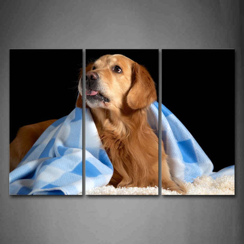 Golden Retriever Lie On Blanket And A Cloth Cover Body Wall Art Painting Pictures Print On Canvas Animal The Picture For Home Modern Decoration 