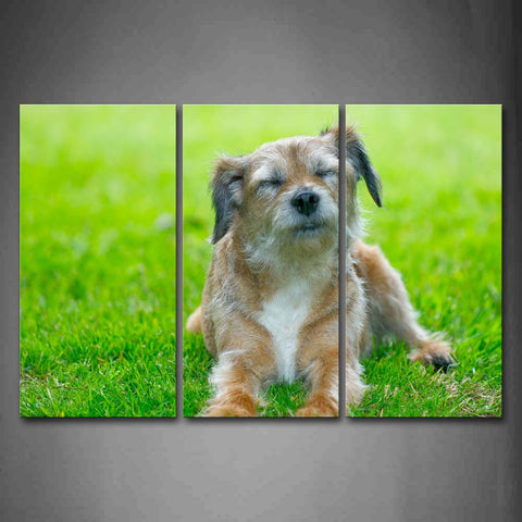 Dog Bend Over On Lawn Squint Wall Art Painting The Picture Print On Canvas Animal Pictures For Home Decor Decoration Gift 