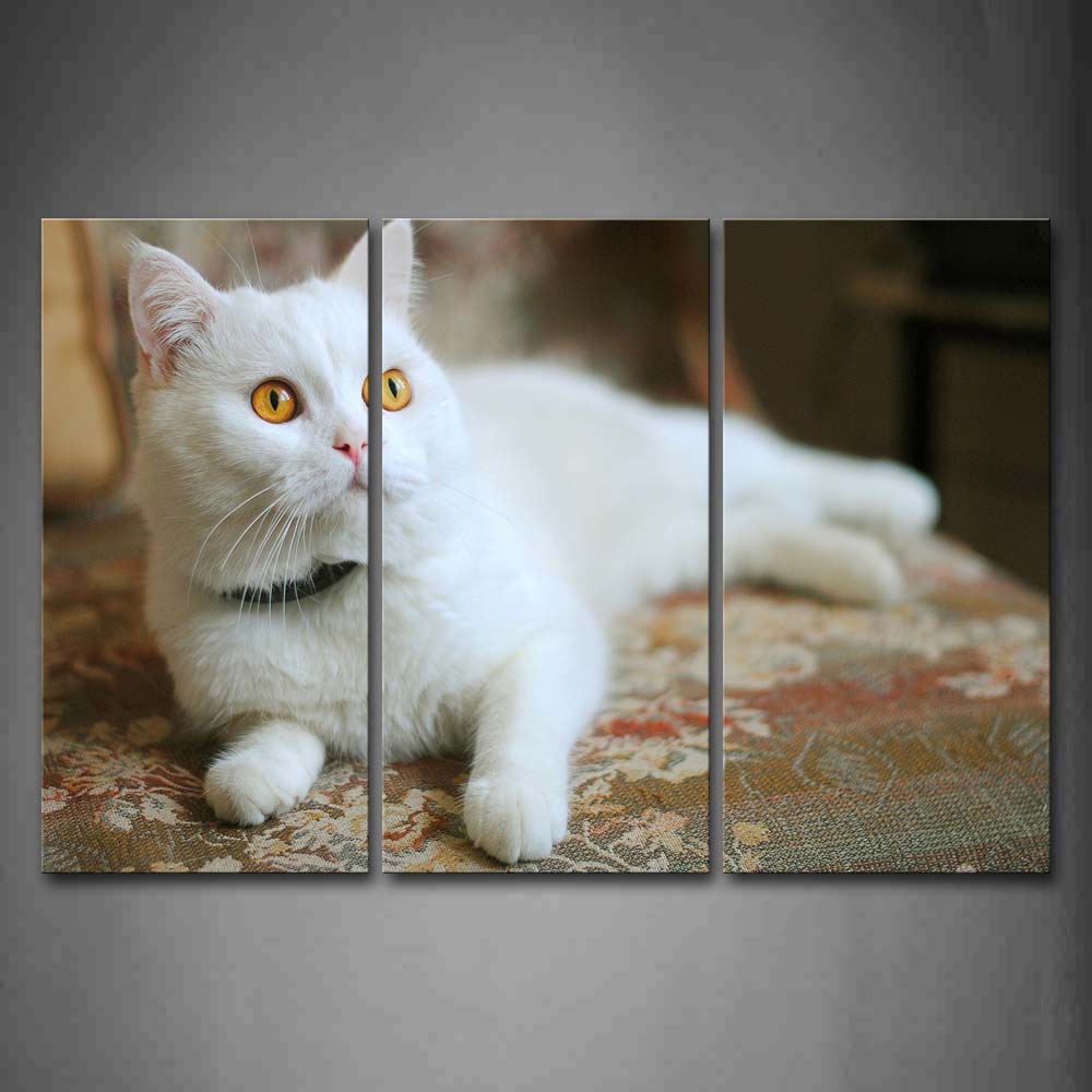 White Cat Lie On Sofa Wall Art Painting Pictures Print On Canvas Animal The Picture For Home Modern Decoration 