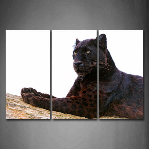 Black Panther Lie On Dry Wood Wall Art Painting The Picture Print On Canvas Animal Pictures For Home Decor Decoration Gift 