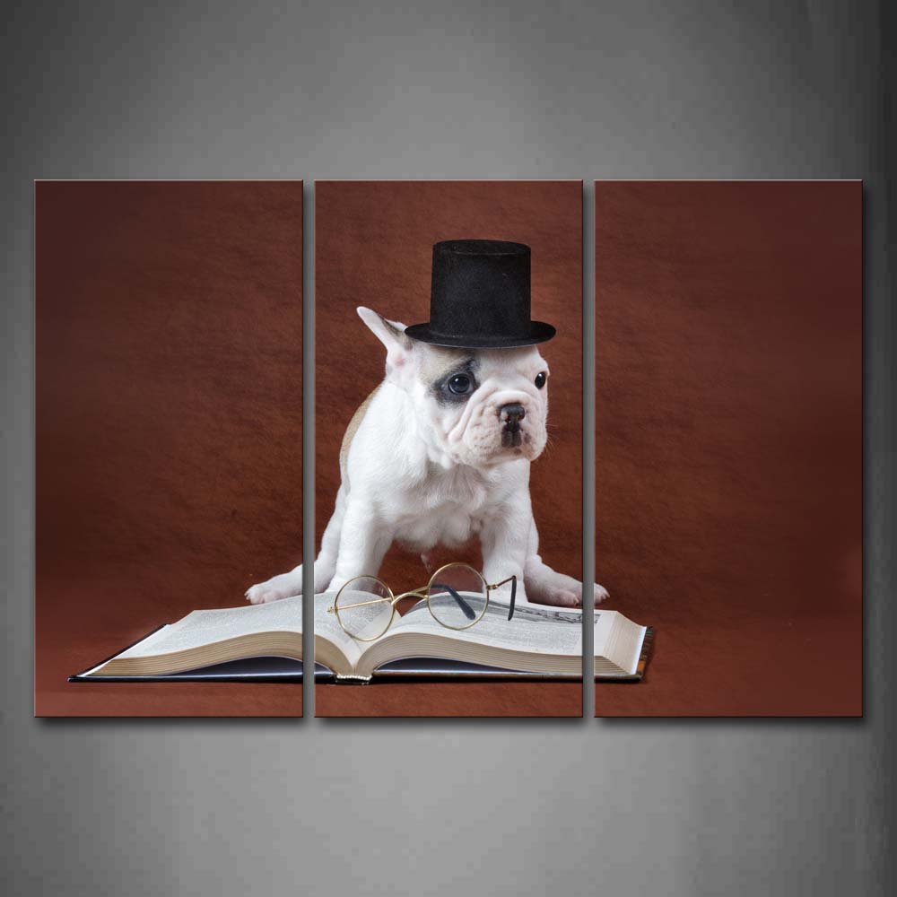 Puppy Wear A Black Cap Book Glass Wall Art Painting The Picture Print On Canvas Animal Pictures For Home Decor Decoration Gift 