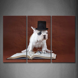 Puppy Wear A Black Cap Book Glass Wall Art Painting The Picture Print On Canvas Animal Pictures For Home Decor Decoration Gift 