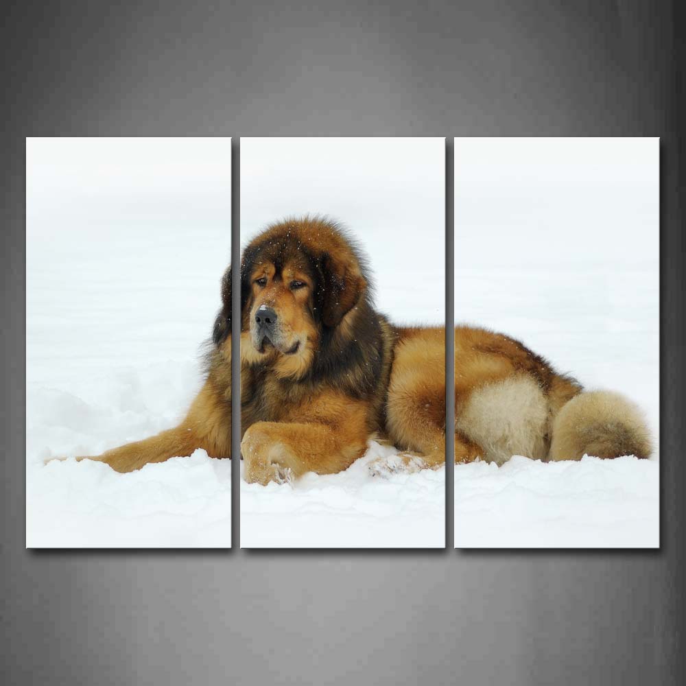 Yellow Dog Lie On Snowfield Wall Art Painting The Picture Print On Canvas Animal Pictures For Home Decor Decoration Gift 