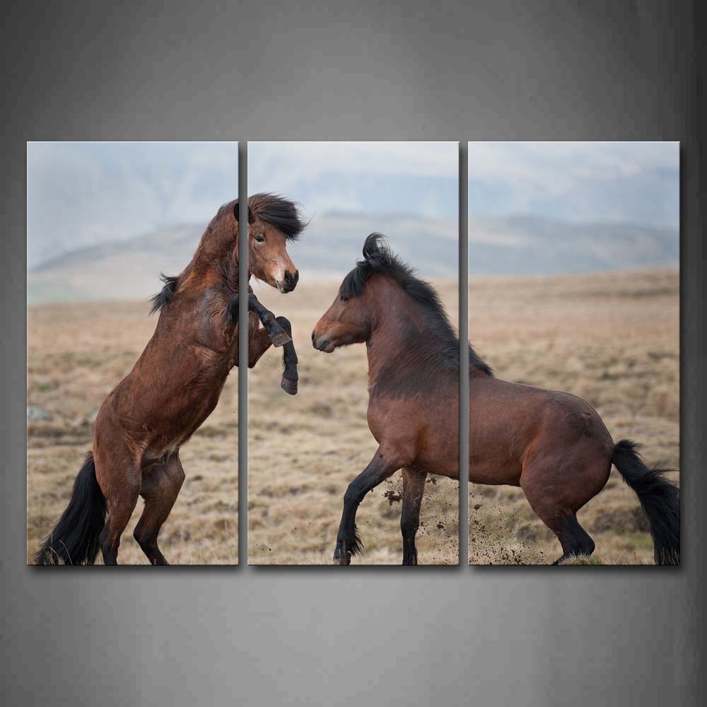 Two Brown Horse Play Together On Grassland Wall Art Painting Pictures Print On Canvas Animal The Picture For Home Modern Decoration 