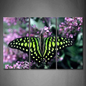 Green And Black Butterfly Stop On Pink Flower Wall Art Painting The Picture Print On Canvas Animal Pictures For Home Decor Decoration Gift 