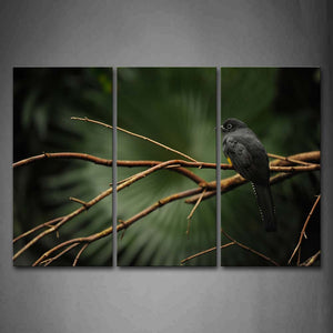 Black Bird Stop On Branch Wall Art Painting Pictures Print On Canvas Animal The Picture For Home Modern Decoration 