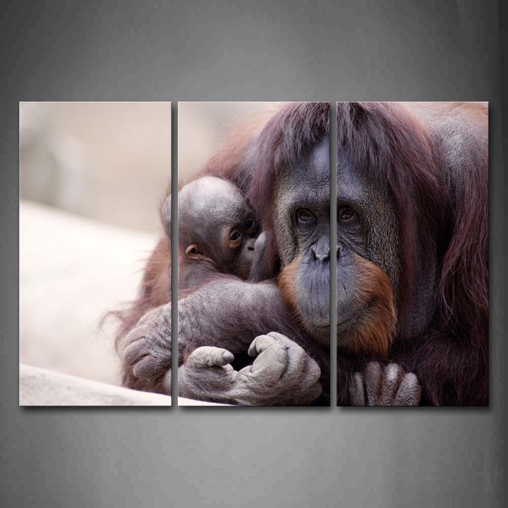 Mother Orangutan With Cub Wall Art Painting The Picture Print On Canvas Animal Pictures For Home Decor Decoration Gift 