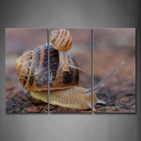 Small Snail Crawl On Big Snail'S Body Wall Art Painting The Picture Print On Canvas Animal Pictures For Home Decor Decoration Gift 