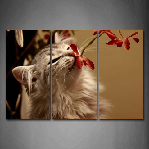 Cute Cat Smell Red Flower Wall Art Painting Pictures Print On Canvas Animal The Picture For Home Modern Decoration 