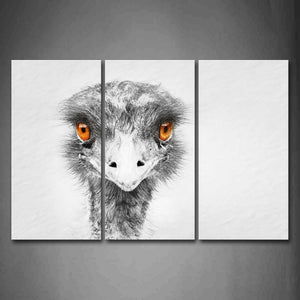 Emu Head Portrait Wall Art Painting The Picture Print On Canvas Animal Pictures For Home Decor Decoration Gift 