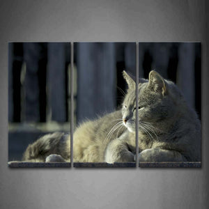 Gray Cat Have A Rest Wall Art Painting The Picture Print On Canvas Animal Pictures For Home Decor Decoration Gift 