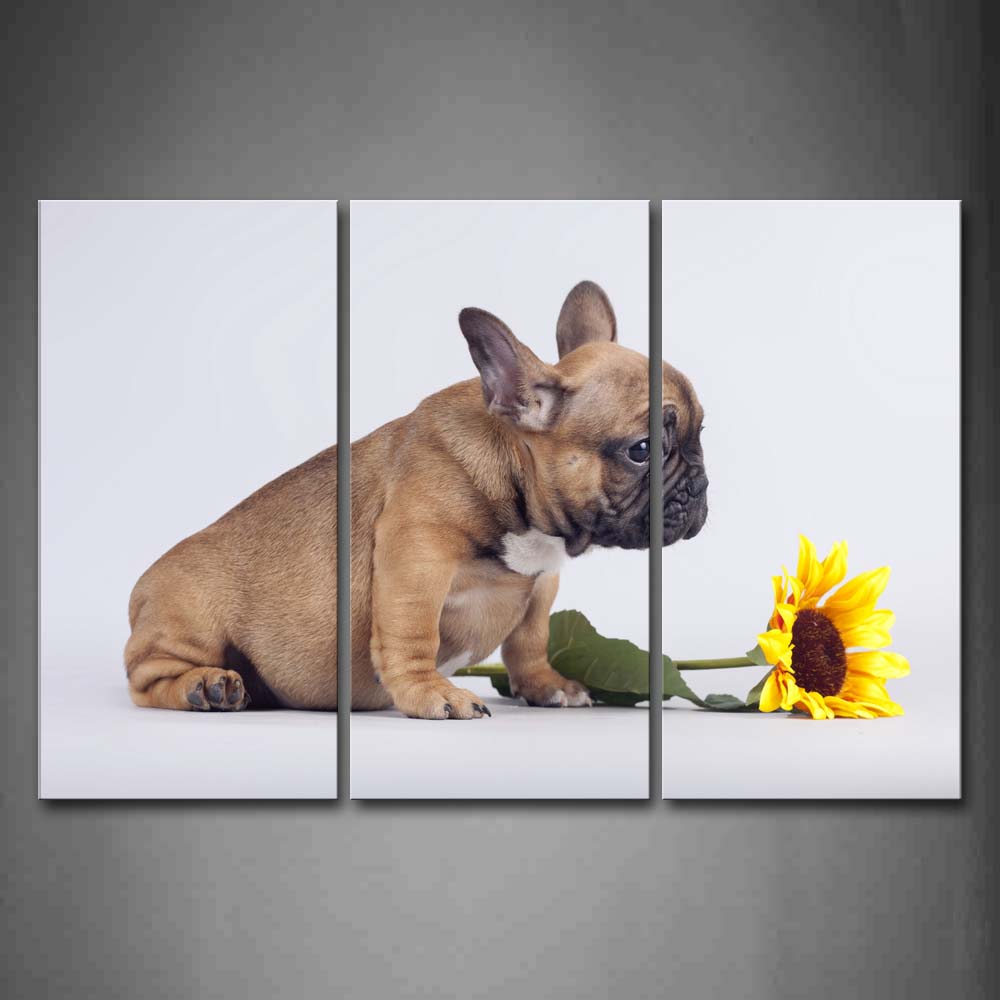 Dog Sit With A Yellow Flower Wall Art Painting Pictures Print On Canvas Animal The Picture For Home Modern Decoration 