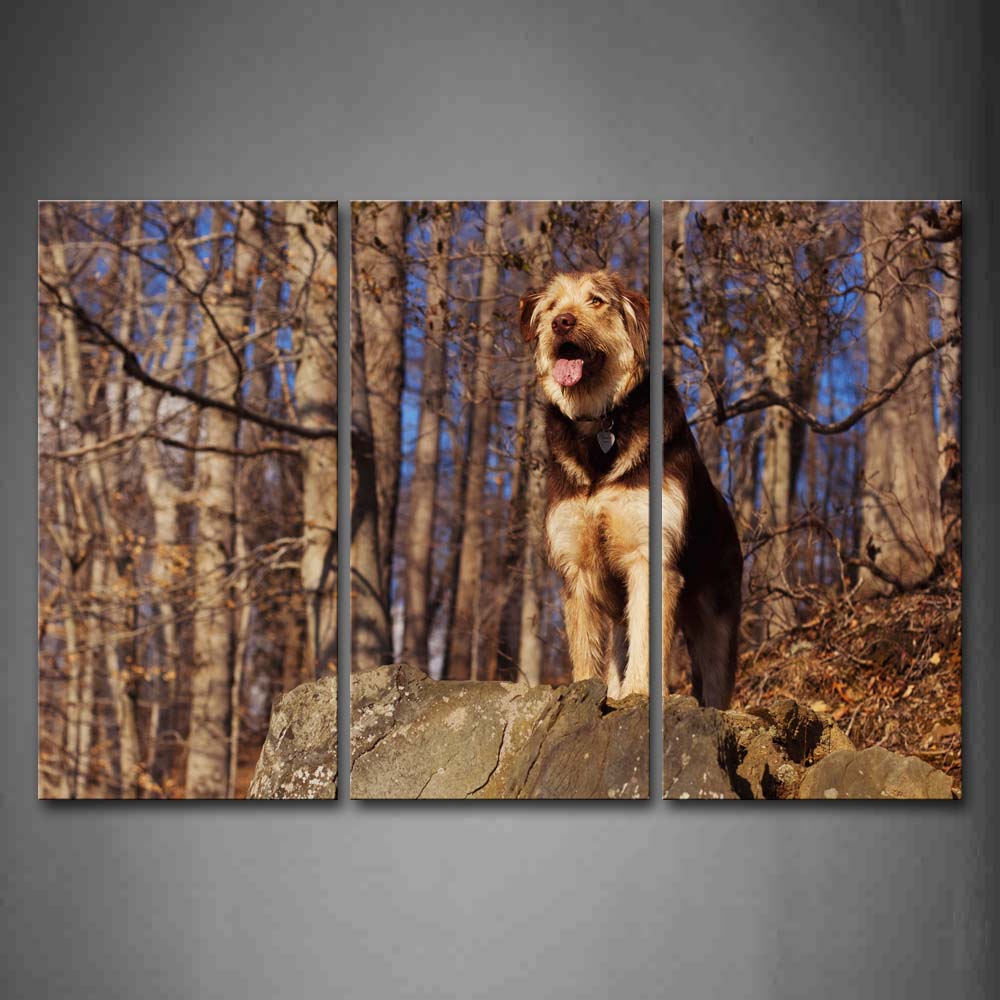 Dog Stand On Rock Forest Wall Art Painting The Picture Print On Canvas Animal Pictures For Home Decor Decoration Gift 