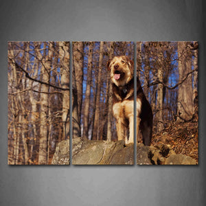 Dog Stand On Rock Forest Wall Art Painting The Picture Print On Canvas Animal Pictures For Home Decor Decoration Gift 