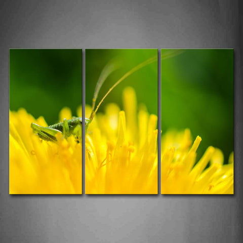 Grasshopper Stop On Yellow Flower Wall Art Painting Pictures Print On Canvas Animal The Picture For Home Modern Decoration 