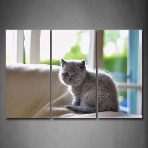 Gray Cat Sit On Blanket Wall Art Painting The Picture Print On Canvas Animal Pictures For Home Decor Decoration Gift 