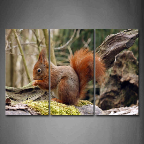 Squirrel Eat Food On Dry Wood Moss Wall Art Painting Pictures Print On Canvas Animal The Picture For Home Modern Decoration 