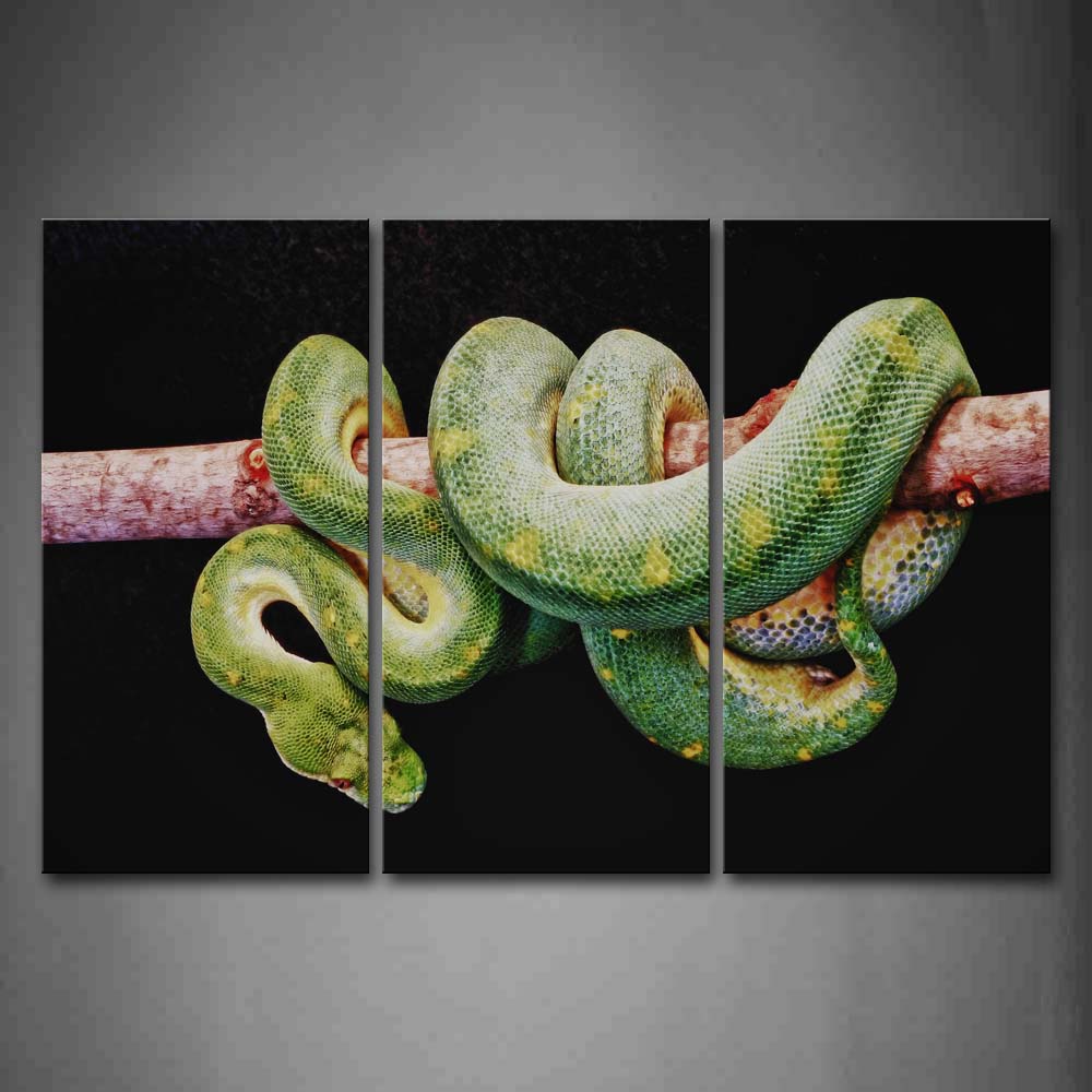 Green Snake Twine On Wood Wall Art Painting Pictures Print On Canvas Animal The Picture For Home Modern Decoration 