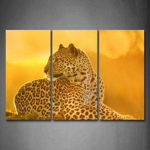 Yellow Orange Leopard Lie On Land  Wall Art Painting Pictures Print On Canvas Animal The Picture For Home Modern Decoration 