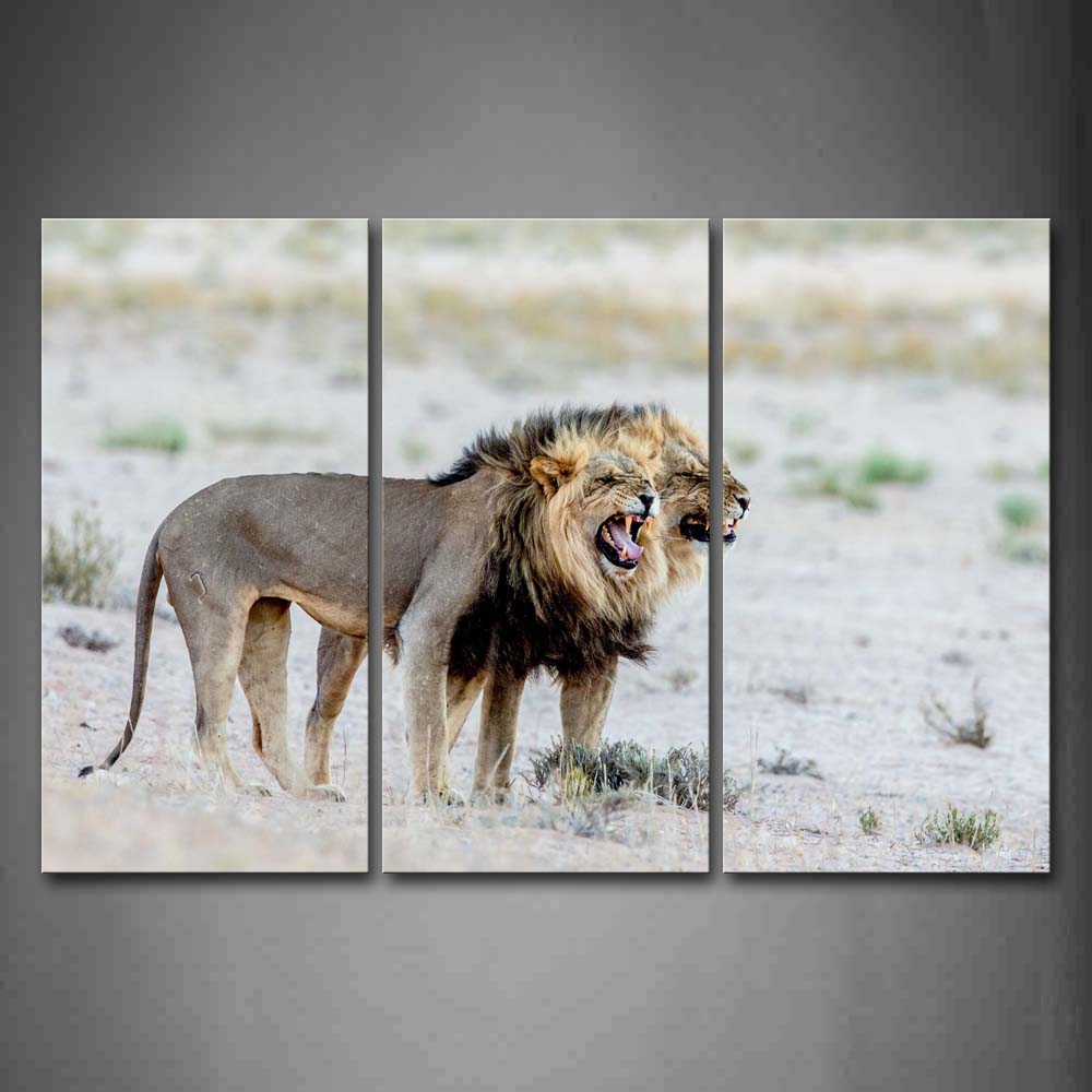 Two Lions Stand On Mud Land Open Mouth Wall Art Painting The Picture Print On Canvas Animal Pictures For Home Decor Decoration Gift 