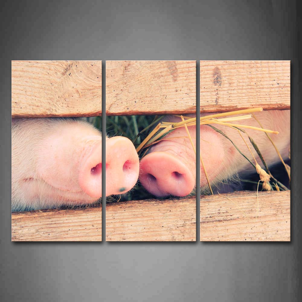 Two Pigs Hide In Fence Grass Wall Art Painting Pictures Print On Canvas Animal The Picture For Home Modern Decoration 