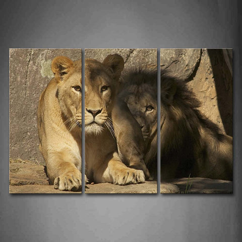 Two Lions Lie On Land Near Rock Wall Art Painting The Picture Print On Canvas Animal Pictures For Home Decor Decoration Gift 