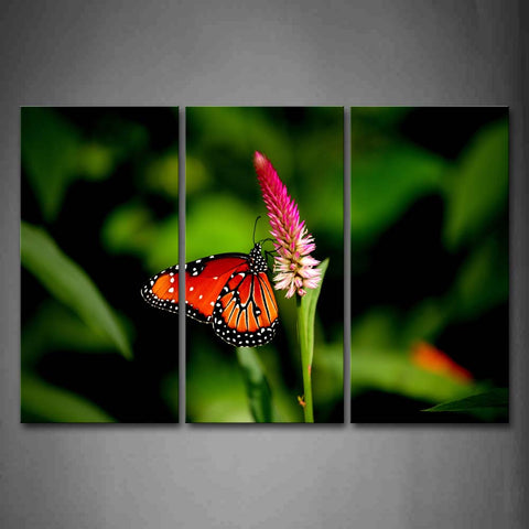 Butterfly Crawl On Pink Flower Wall Art Painting Pictures Print On Canvas Animal The Picture For Home Modern Decoration 