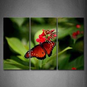 Butterfly Crawl On Red Flower Wall Art Painting The Picture Print On Canvas Animal Pictures For Home Decor Decoration Gift 