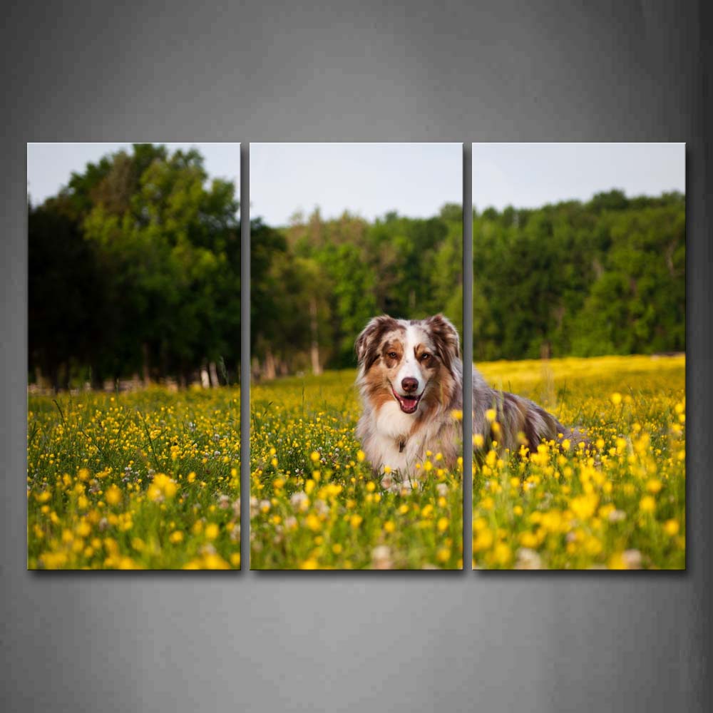 Dog Play In Yellow Flowers Trees Wall Art Painting The Picture Print On Canvas Animal Pictures For Home Decor Decoration Gift 