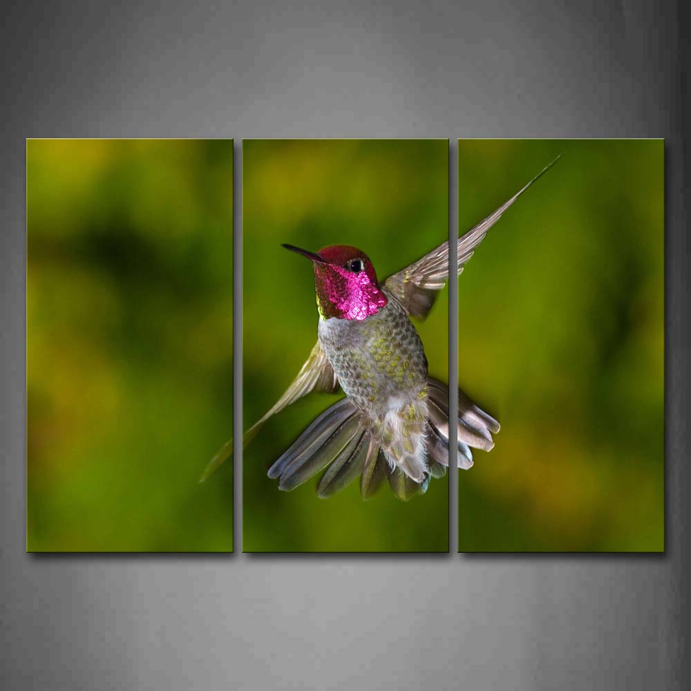 Hummingbird Is Flying Wall Art Painting Pictures Print On Canvas Animal The Picture For Home Modern Decoration 