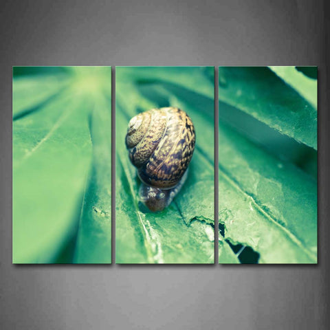 Snail Crawl On Green Leaf Wall Art Painting Pictures Print On Canvas Animal The Picture For Home Modern Decoration 