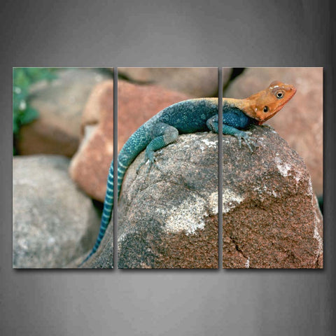 Lizard Crawl On Rock Wall Art Painting The Picture Print On Canvas Animal Pictures For Home Decor Decoration Gift 