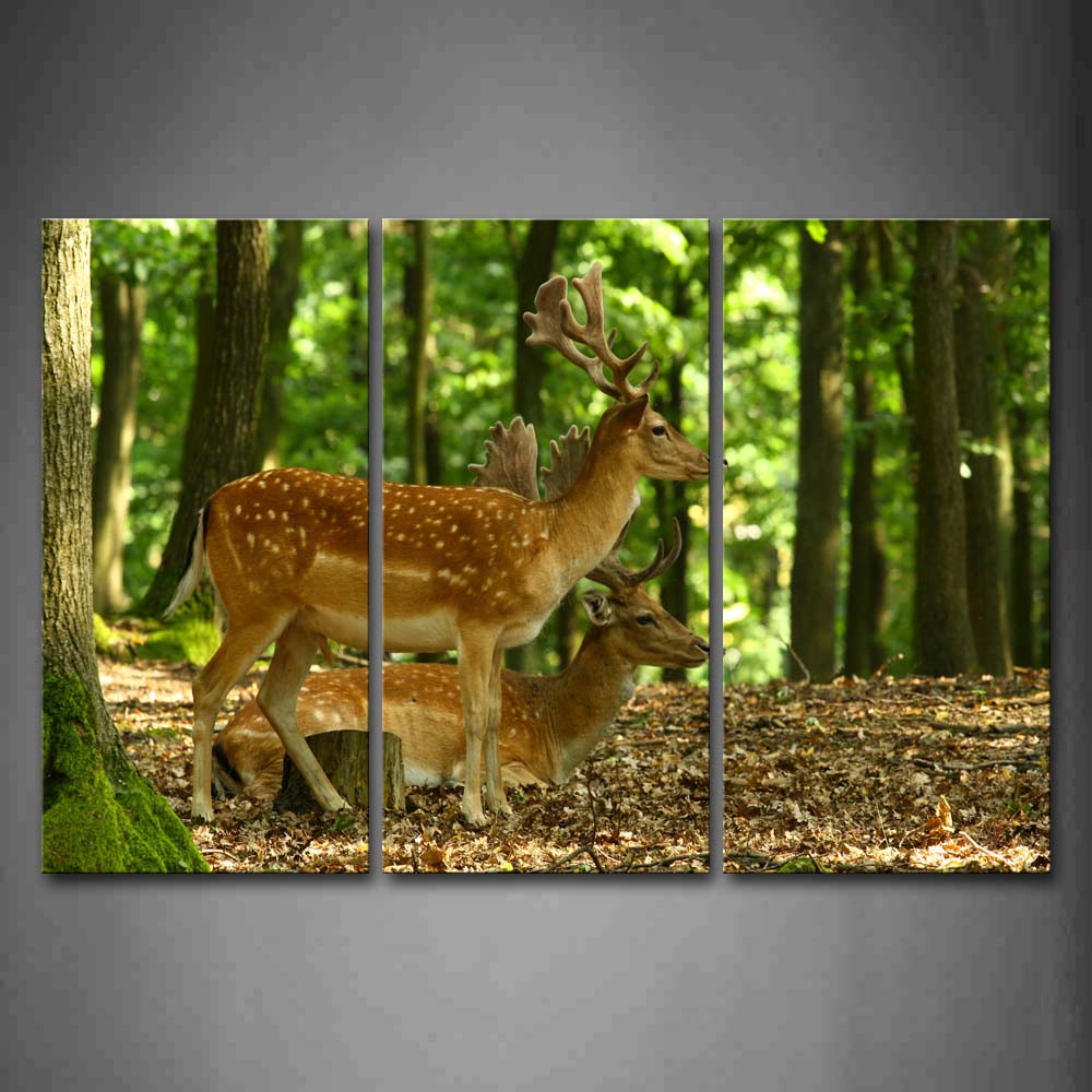 Two Deer In Forest Fallen Leafs Wall Art Painting Pictures Print On Canvas Animal The Picture For Home Modern Decoration 