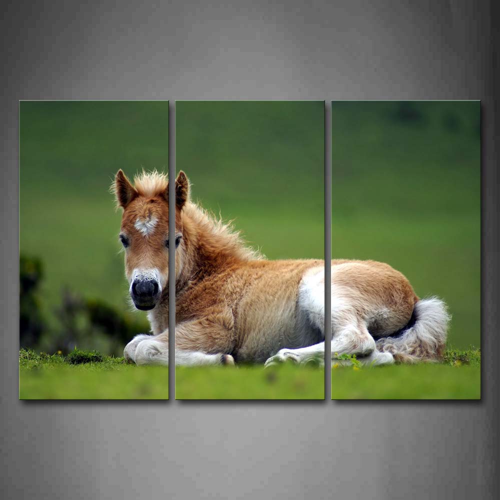 Yellow And White Horse Lie On Grass Wall Art Painting The Picture Print On Canvas Animal Pictures For Home Decor Decoration Gift 