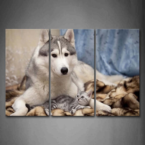 Siberian Husky With A Cat Lie On Blanket Wall Art Painting Pictures Print On Canvas Animal The Picture For Home Modern Decoration 