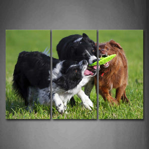 Three Dogs Grap A Toy On Lawn Wall Art Painting The Picture Print On Canvas Animal Pictures For Home Decor Decoration Gift 