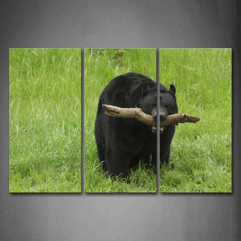 Black Bear Bite A Wood On Grassland Wall Art Painting Pictures Print On Canvas Animal The Picture For Home Modern Decoration 