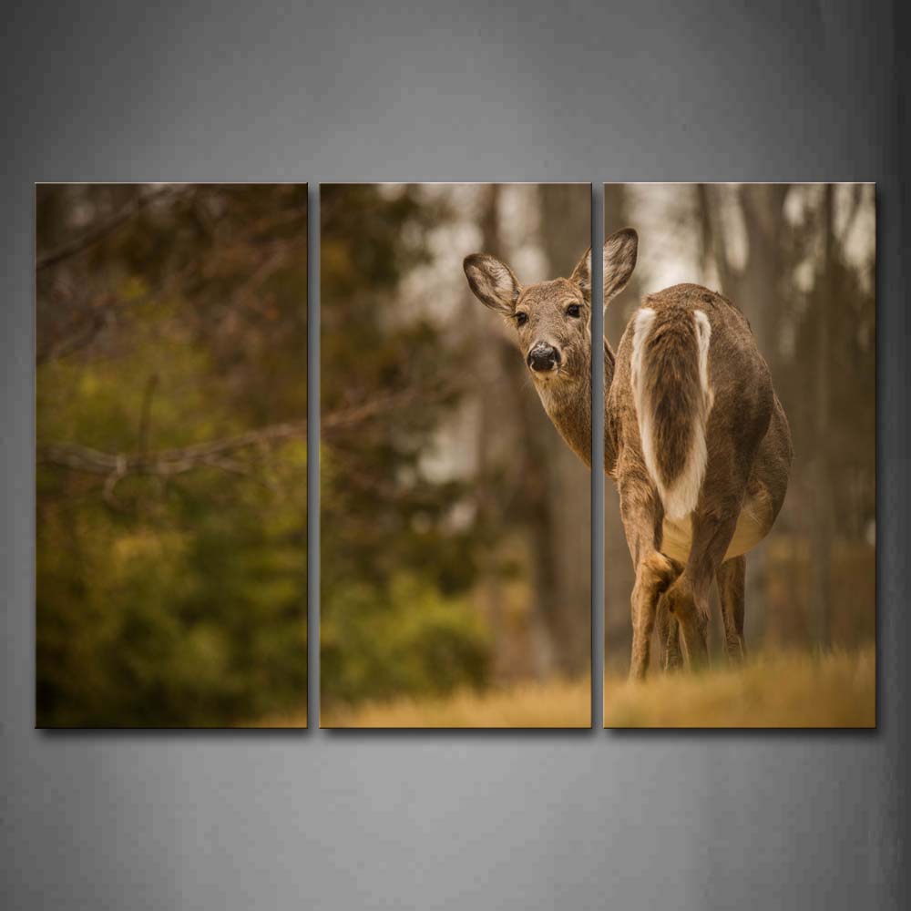 Yellow Deer Stand On Grass And Look Back Wall Art Painting Pictures Print On Canvas Animal The Picture For Home Modern Decoration 