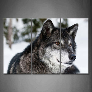 Wolf Lie On Snowfield Wall Art Painting The Picture Print On Canvas Animal Pictures For Home Decor Decoration Gift 