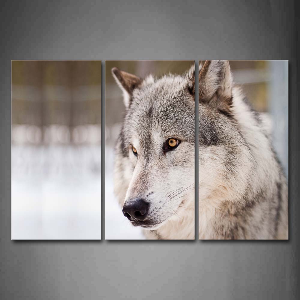 Gray Wolf Portrait Wall Art Painting Pictures Print On Canvas Animal The Picture For Home Modern Decoration 