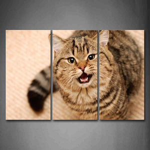 Cat Look Up And Open Mouth Wall Art Painting Pictures Print On Canvas Animal The Picture For Home Modern Decoration 