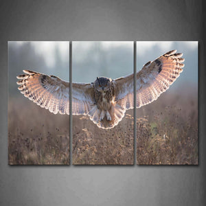 Owl Fly Over Grass Wall Art Painting The Picture Print On Canvas Animal Pictures For Home Decor Decoration Gift 