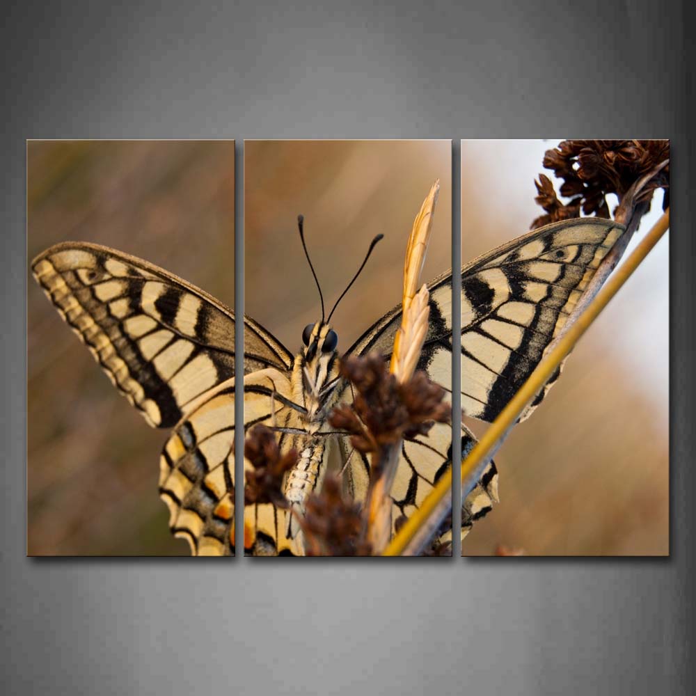 Black And Yellow Butterfly Stop On Brown Plant Wall Art Painting Pictures Print On Canvas Animal The Picture For Home Modern Decoration 