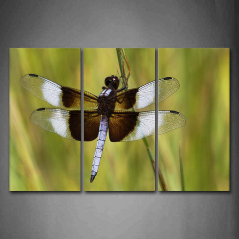 Gray And Black Dragonfly Stop On Grass Wall Art Painting The Picture Print On Canvas Animal Pictures For Home Decor Decoration Gift 