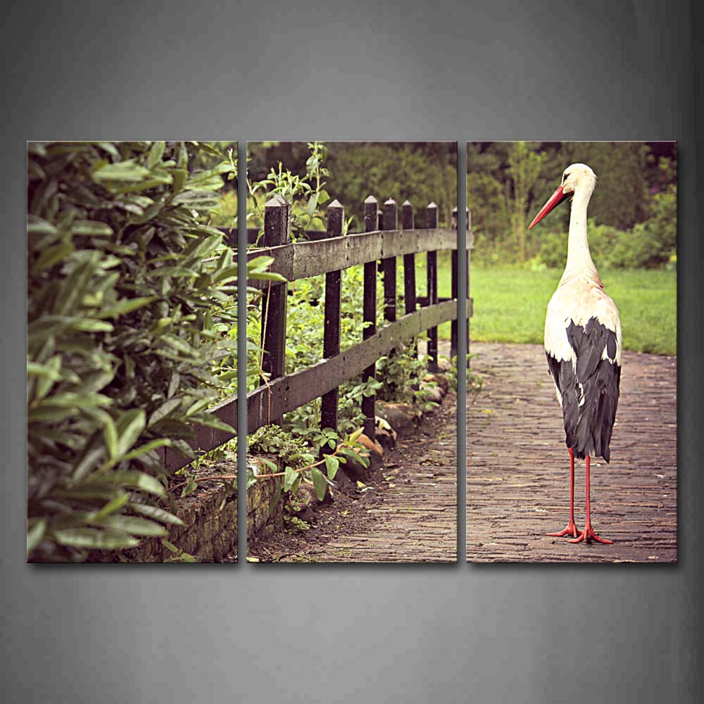 Bird Walk On Road Fence Lawn Tree Wall Art Painting Pictures Print On Canvas Animal The Picture For Home Modern Decoration 