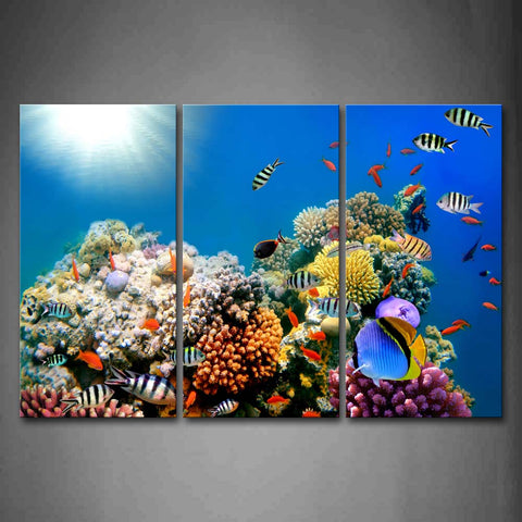 Blue The Bottom Of Sea Scenery Colorful Fishs Bright Sun Wall Art Painting The Picture Print On Canvas Animal Pictures For Home Decor Decoration Gift 