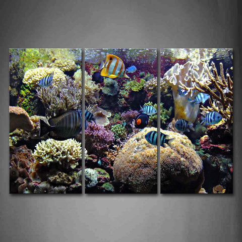 The Bottom Of Sea Scenery Colorful Fishs Beautiful Wall Art Painting The Picture Print On Canvas Animal Pictures For Home Decor Decoration Gift 